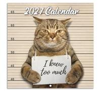 2024 Wall Calendar - Funny Cat 2024, January December Gag Gift Memes Pics, 12'' x 24'' Opened, Best for White Elephant Gift, Prank Brown (YAMMBQBQMD24A01)
