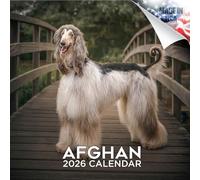 2025 2026 Afghan Hound Calendar - Dog Breed Monthly Wall Calendar - 12" x 24" Open - Thick No-Bleed Paper - Giftable - Academic Teacher's Planner Calendar Organizing & Planning - Made in USA
