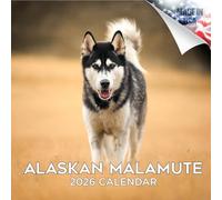 2025 2026 Alaskan Malamute Calendar - Dog Breed Monthly Wall Calendar - 12 x 24 Open - Thick No-Bleed Paper - Giftable - Academic Teacher's Planner Calendar Organizing & Planning - Made in USA