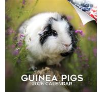 2025 2026 Guinea Pigs Calendar - Cute Animal Monthly Wall Calendar, 16 Month 12x24 Wildlife Planner, Thick No-Bleed Paper, Large Grid, Giftable Animal Calendar for Teachers, Home, Office, Made in USA