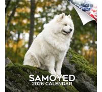 2025 2026 Samoyed Calendar - Dog Breed Monthly Wall Calendar - 12" x 24" Open - Thick No-Bleed Paper - Giftable - Academic Teacher's Planner Calendar Organizing & Planning - Made in USA