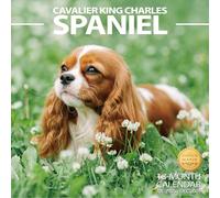 2025-2026 Wall Calendar Cavalier King Charles Spaniel Planner Calendar, Hangable Monthly Wall Calendar with Large Blocks for Organizing & Planning, Academic Schedule, Home, Office & family, Thick