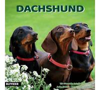 2025-2026 Wall Calendar,Dachshund Wall Calendar, 12" x 24" Open,Family Planner Calendar Organizer with Dachshund Images, for Dogs Lovers