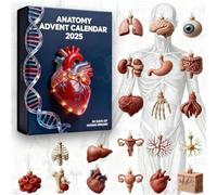 2025 Anatomy Advent Calendar, 24 Days Acrylic Anatomy Ornaments Christmas Countdown Pendants,Mini Human Organ Models Themed Set,Xmas Gift for Medical Students Science Enthusiasts
