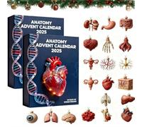 2025 Anatomy Advent Calendar - 24 Days of Human Body Organ Discoveries | 2D Medical Art Christmas Ornaments | Educational Science Gift for Students, Teachers & Anatomy Enthusiasts (2Pcs)