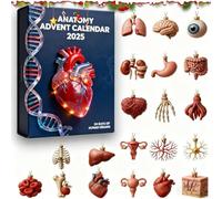 2025 Anatomy Advent Calendar - 24 Days of Human Organ Surprises, Funny Acrylic Human Organ Miniatures Countdown Calendar, Science-Inspired Christmas Countdown for Doctors Anatomy Lovers (2pcs)