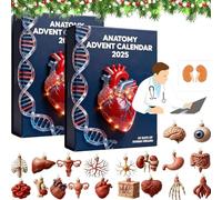 2025 Anatomy Advent Calendar, 24 Days Of Human Organs Ornaments Christmas Advent Calendar, 2D Acrylic Science Decor with Skeleton, Heart, Brain Figurine for Science Lovers & Anatomy Enthusiasts (2pcs)