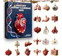 2025 Anatomy Advent Calendar, 24 Days Of Human Organs Ornaments Christmas Advent Calendar, 2D Acrylic Human Organ Deco, Gift for Medical Students, Anatomy, Science Lovers