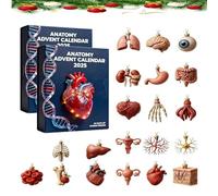 2025 Anatomy Advent Calendar, Unique Human Body organ 24 Days Christmas Countdown Calendar, 2D Medical themed artistic Christmas ornaments, Learn about different organs, Science Lovers gifts (2pcs)