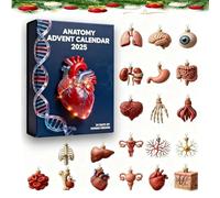 2025 Anatomy Advent Calendar, Unique Human Body organ 24 Days Christmas Countdown Calendar, 2D Medical themed artistic Christmas ornaments, Learn about different organs, Science Lovers gifts (1pc)