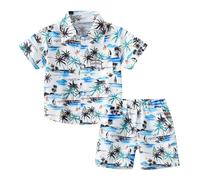 2025 Boys Summer Clothes Breathable Shorts+T-Shirts Sets Kids Colour Blocked Outfit Dinosaur Monster Print Top Animal Outfits Loose Comfortable Birthday Party Casual White