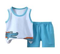 2025 Boys Summer Clothes Comfortable Set for Kids Outfit 2 Piece Short Sleeve Graphic Tee Camouflage Print Loungewear Beach Vacation Casual Suit Daywear Merchandise Gift