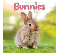2025 Bunnies Mini calendar: Plastic Free Packaging