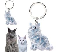 2025 Cat Hair Storage Capsule Commemorative Keychain Cute Shape, Pet Cat Hair and Whiskers Grooming Storage Box Keychain for Cat Lovers (2 Pack for Maine Coon Cats)
