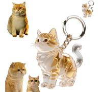 2025 Cat Hair Storage Capsule Commemorative Keychain Cute Shape, Pet Cat Hair and Whiskers Grooming Storage Box Keychain is Suitable for cat Lovers (2-Pack British Shorthair Golden Cat)