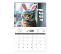 2025 Cat Month Calendar | Calendar 2025 Kitten Calendar 2025 | Art Angry Cat Calendar | Fun Month 2025 Planner Calendar, Creative Cute Kitten 2025 Wall Art Calendar