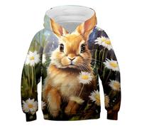 2025 Children's Boys Girls Easter Spring Long Sleeve Hoodie Tops Sweatshirt Clothing Cartoon Rabbit Chick Print Skater Jumper Girls, khaki, 9-10 Years