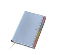 2025 Colorful Index Schedule Notebook Monthly Weekly Plan Notes Diary Notebook Planner Memo Portable Memo Pad (blue)