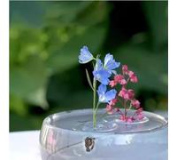2025 Creative Floating Floral Arrangement Holder, A Clear Acrylic Flower Arranger with Dynamic Rotation - Floating Stem Bowl for DIY Table Decor Centerpieces, Fish Tanks & Vase Decorations(L+S 20pcs)