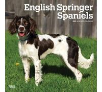 2025 English Springer Spaniels 16-Month Wall Calendar, 30 x 61 cm, BrownTrout