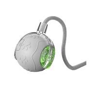 2025 Interactive Pet Toy Smart Automatic Rolling with Agile Movement USB Rechargeable Indoor Play for Cats and Dogs (Grey, One Size)