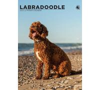 2025 Labradoodle Calendar, A3, Wirobound, Full Colour, 12 Months