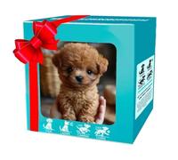 2025 New Ai Robot Dog, Robotic Puppy Toys, Robot Puppy That Acts Like a Real Puppies, for Sitting Barking Walking Tail Wagging and Running (Style F)