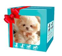 2025 New Ai Robot Dog, Robotic Puppy Toys, Robot Puppy That Acts Like a Real Puppies, for Sitting Barking Walking Tail Wagging and Running (Style E)