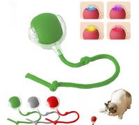 2025 NEW Chewie Viral Pet Ball, Smart 360° Automatic Rolling Toy for Dogs & Cats, Interactive Self-Moving Ball with USB Charging, Fun Exercise Toy for Indoor Play (Geeen)