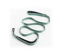 2025 New Edition, Fei & Eve Classic Dog Leash - 6FT, Green-New