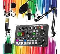 2025 New live sound card with dj mixer effects & voice changer, Upgrade live sound card audio mixer, Professional live sound card voice changer, for Streaming, Podcasting, and Gaming (C)