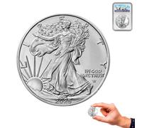 2025 Peace Dollar Replica Coin - Statue of Liberty Design - American Liberty Collectible Souvenir Coin - Rare Antique US Coin for Collectors, History Buffs and Party Favors