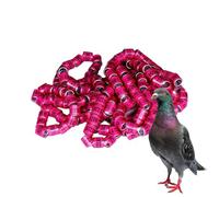 2025 Pigeon Paw Rings, Bird Foot Rings - 50pcs Pigeon Rings Pigeon Supplies Bands, Bright Colors Accessories Pegeon Generic Size Accessories for Nesting Box Easy to Say
