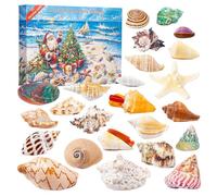 2025 Shell for Children, 24 Days Collection Shell Model Countdown Calendar, Shells, Starfish, Education, Scientific for Christmas, Countdown Gift