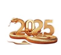 2025 Snake Charm - Chinese New Year Snake Ornament | 2D Good Luck Wealth Snake Acrylic Pendant Charm | Festive New Year Decoration Pendant, 2025 Chinese New Year Ornament for Car, Home