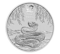 2025 Snake Coin | 4x4cm Attracts Wealth & Blessings | Collectible Chinese Gold Coin Souvenir | Snake Year For Home, Office, Collection, Good Luck