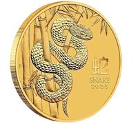 2025 Snake Coin | 4x4cm Attracts Wealth & Blessings | Collectible Chinese Gold Coin Souvenir | Snake Year For Home, Office, Collection, Good Luck