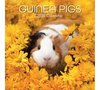 2025 Square Wall Calendar, Guinea Pigs, 16-Month Animals Theme with 180 Reminder Stickers (30 x 30 CM)