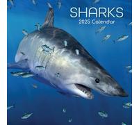 2025 Square Wall Calendar, Sharks, 16-Month Animals Theme with 180 Reminder Stickers (30 x 30 CM)