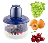 2025 Upgraded New Electric Automatic Garlic Peeler Machine,5-Leaf Design,Small Commercial Fruit Skin Remover Tool,Quick Peeling in 25 Seconds,for Cherry,Grape,and Cherry Tomatoes(Color:Blue)