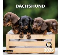 2025 Wall Calendar,Calendar 2025, January 2025 - December 2025, Wall Calendar Dachshund, 12" x 24" Opened,Full Page Months Thick & Sturdy Paper for Gift Perfect Calendar Organizing & Planning
