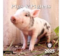 2025 Wall Calendar,Calendar 2025, November 2024 - December 2025, Wall Calendar Pigs & Piglets, 12" x 24" Opened,Full Page Months Thick & Sturdy Paper for Gift Perfect Calendar Organizing & Planning