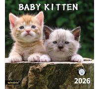 2025 Wall Calendar,Calendar 2026, July 2025 - December 2026, Wall Calendar Cat Kitten, 12" X 24" Opened,Full Page Months Thick & Sturdy Paper for Calendar Organizing & Planning