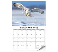 2025 Wall Calendar, Wall Calendar 2025, Wall Planner from January 2025 to January 2026 Eagle Monthly Wall Calendar - Bright Daily Programmer that scrolls through the calendar from
