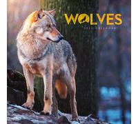 2025 Wolves Mini calendar: Plastic Free Packaging
