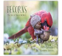 2025 Yea Calendar Of Extremely Accurate Birds, Becorns The Art Of Bird Calendar, Beautiful 2025 Forest Folk Calendar, Wall Forest Folklore Overseas Calendar (1pc)