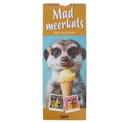 2026 12 Month Slim Calendar Wall Hanging with Gift Envelope - Funny Animals (Mad Meerkats 5072)