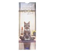 2026 12 Month Slim Calendar Wall Hanging with Gift Envelope - Yoga Animals (Cat Cover 5331)