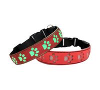 2026 3D Iridescent Dog: Pet Light Collar with USB Charging Function, LED Necklace for Dogs at Night Walk, Fashionable Pet Fashion Accessories (RD1, L)