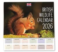 2026 A4 British Wildlife Calendar UK. One Month to View. A3 when open. Wall Calendar by Absolutely Yours.